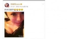 猫之城最新爆料视频网址,最新爆料视频带你探秘神秘猫界